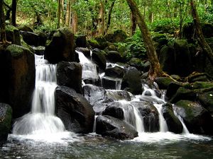 Превью обои водопад, камни, лес, вода, потоки, деревья, стволы