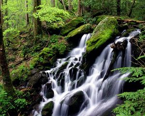 Превью обои водопад, камни, мох, лес, каскады, зеленый