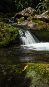 Превью обои водопад, камни, мох, вода, растения