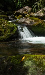 Превью обои водопад, камни, мох, вода, растения