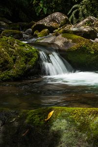 Превью обои водопад, камни, мох, вода, растения