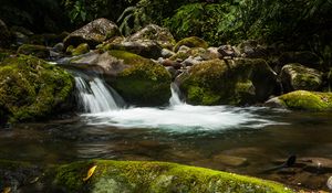 Превью обои водопад, камни, мох, вода, растения