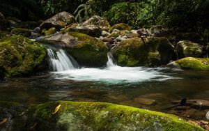 Превью обои водопад, камни, мох, вода, растения