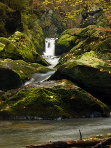 Превью обои водопад, камни, мох, ветки, вода