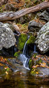 Превью обои водопад, камни, мох, листья