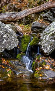 Превью обои водопад, камни, мох, листья