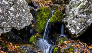 Превью обои водопад, камни, мох, листья