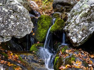 Превью обои водопад, камни, мох, листья