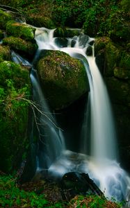 Превью обои водопад, камни, мох, ветки, зеленый