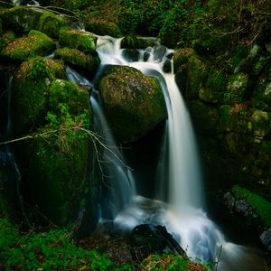 Превью обои водопад, камни, мох, ветки, зеленый