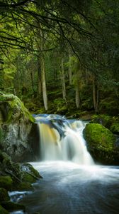 Превью обои водопад, камни, мох, деревья, лес