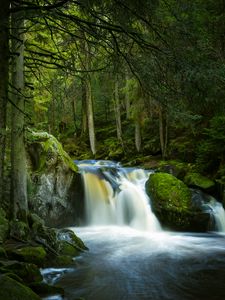 Превью обои водопад, камни, мох, деревья, лес