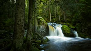 Превью обои водопад, камни, мох, деревья, лес