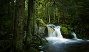 Превью обои водопад, камни, мох, деревья, лес