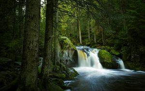 Превью обои водопад, камни, мох, деревья, лес