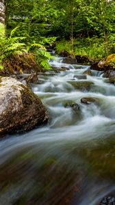 Превью обои водопад, камни, поток, папоротник