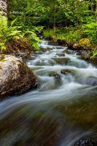 Превью обои водопад, камни, поток, папоротник