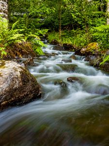 Превью обои водопад, камни, поток, папоротник