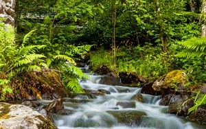 Превью обои водопад, камни, поток, папоротник