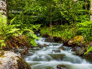 Превью обои водопад, камни, поток, папоротник