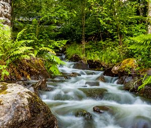 Превью обои водопад, камни, поток, папоротник