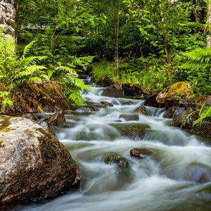 Превью обои водопад, камни, поток, папоротник