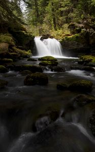 Превью обои водопад, камни, поток, мох, вода