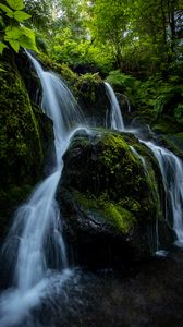 Превью обои водопад, камни, поток, растения, ветки