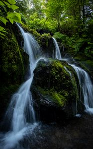 Превью обои водопад, камни, поток, растения, ветки