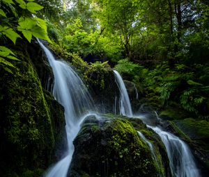 Превью обои водопад, камни, поток, растения, ветки