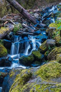 Превью обои водопад, камни, поток, мох, бревно