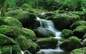 Превью обои водопад, камни, течение, мох