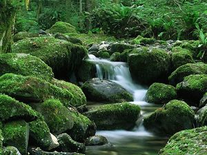 Превью обои водопад, камни, течение, мох