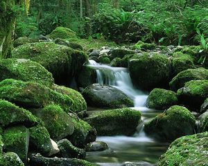 Превью обои водопад, камни, течение, мох