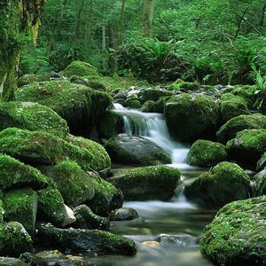 Превью обои водопад, камни, течение, мох