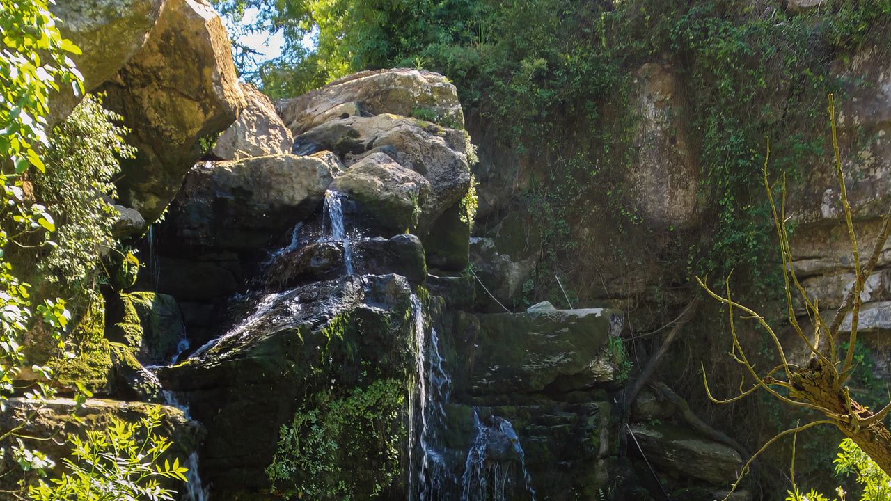 Обои водопад, камни, ветки, природа