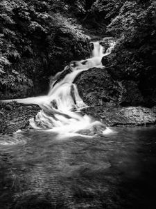 Превью обои водопад, камни, вода, черно-белый, деревья