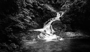 Превью обои водопад, камни, вода, черно-белый, деревья