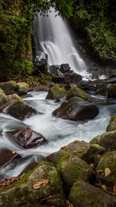 Превью обои водопад, камни, вода, мох, поток, деревья