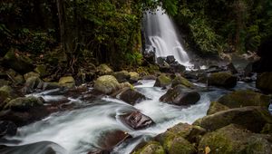 Превью обои водопад, камни, вода, мох, поток, деревья