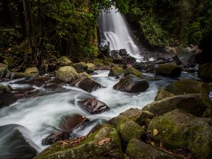 Превью обои водопад, камни, вода, мох, поток, деревья