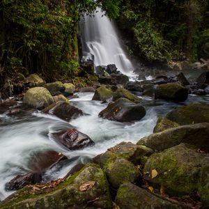 Превью обои водопад, камни, вода, мох, поток, деревья