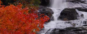 Превью обои водопад, камни, вода, дерево, осень