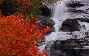 Превью обои водопад, камни, вода, дерево, осень
