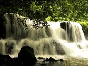 Превью обои водопад, каскад, пейзаж, природа, деревья