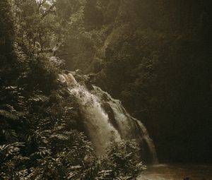 Превью обои водопад, кусты, туман, река, природа