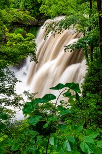 Превью обои водопад, лес, деревья, кусты, зелень