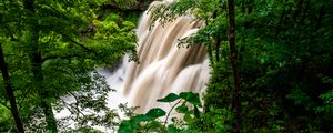 Превью обои водопад, лес, деревья, кусты, зелень