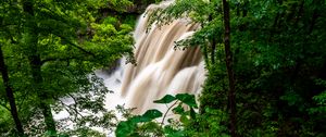 Превью обои водопад, лес, деревья, кусты, зелень