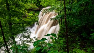 Превью обои водопад, лес, деревья, кусты, зелень